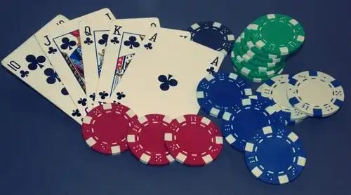 Clear 9060 bd category cards for Bangladesh sports and casino browsing